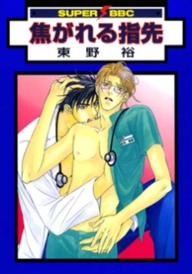 Copertina di Gay's Anatomy