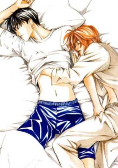 Copertina di Rika the Breeder