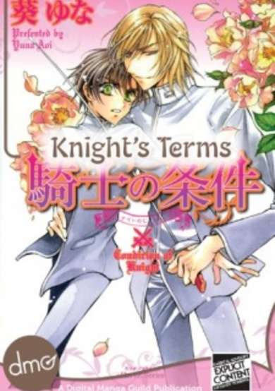 Copertina di Knight's Terms