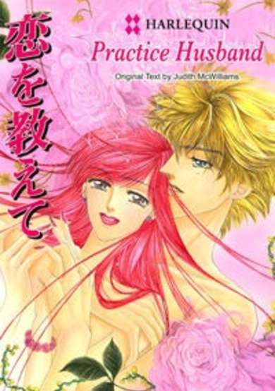 Copertina di Practice Husband