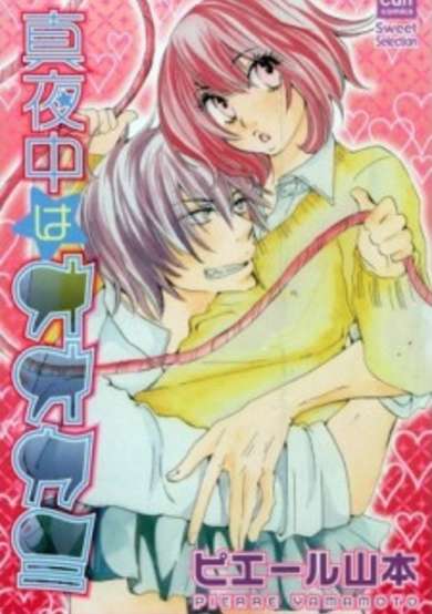 Copertina di Mayonaka na Ookami