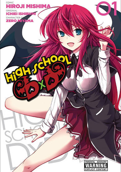 Copertina di High School DxD