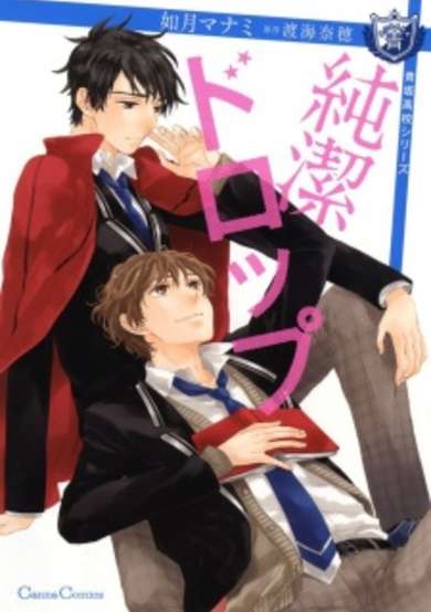 Copertina di Junketsu Drop