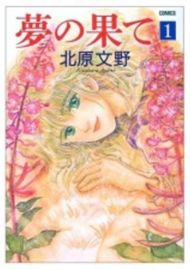Copertina di The end of the dream