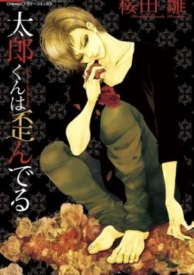 Copertina di Taro is Distorted