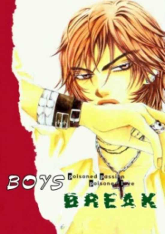 Copertina di Boys Break