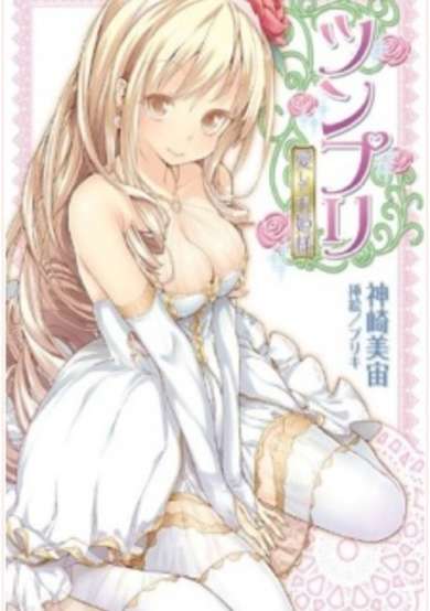 Copertina di Tsunpri: Aishite Ohimesama