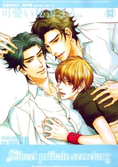 Copertina di Sweet Private Secretary