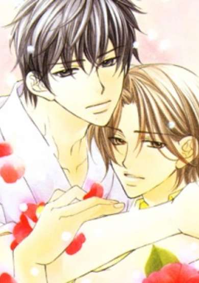 Copertina di You Will Fall in Love