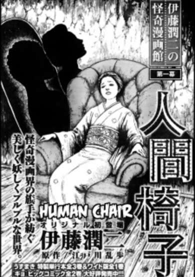 Copertina di The Human Chair