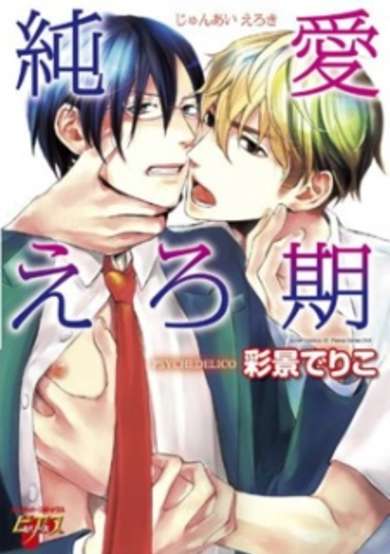 Copertina di Junai Ero-ki