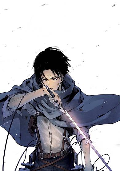 Copertina di Attack on Titan: No Regrets