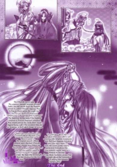 Copertina di Princess Kaguya