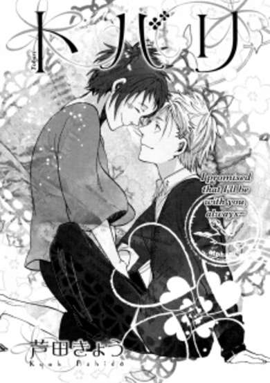 Copertina di Tobari
