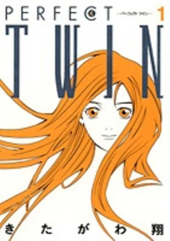 Copertina di Perfect Twin