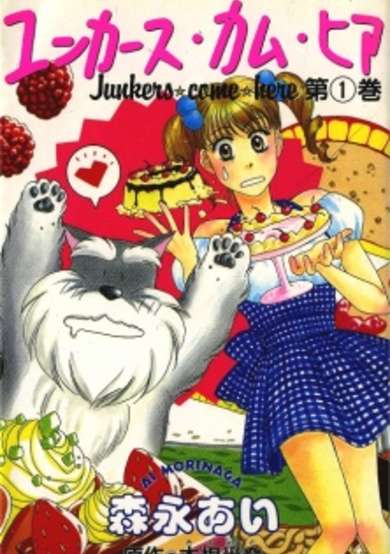 Copertina di Junkers Come Here