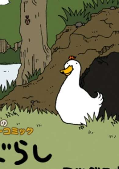 Copertina di It is living happily on ground everyday.