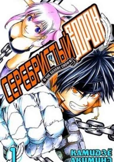 Copertina di The Silvery Crow