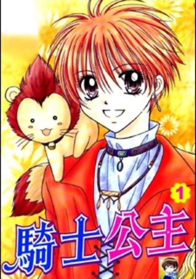 Copertina di Knight Princess