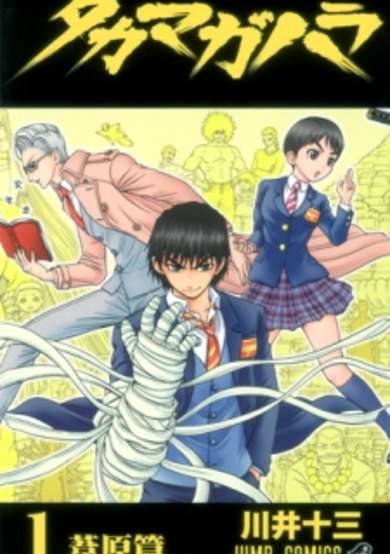 Copertina di Takamagahara