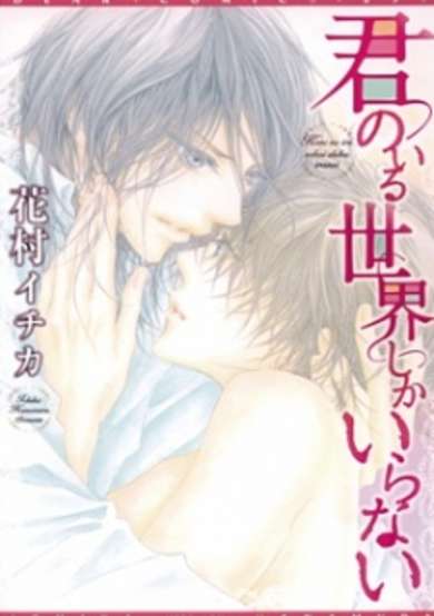 Copertina di Kimi no Iru Sekai shika Iranai