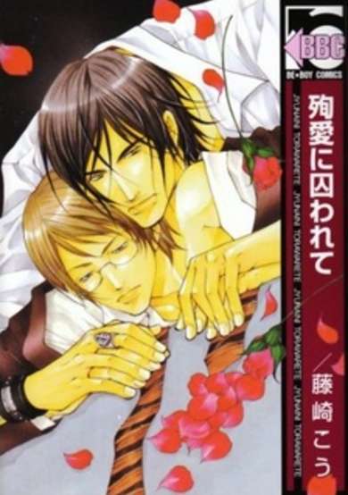 Copertina di Junai ni Torawarete