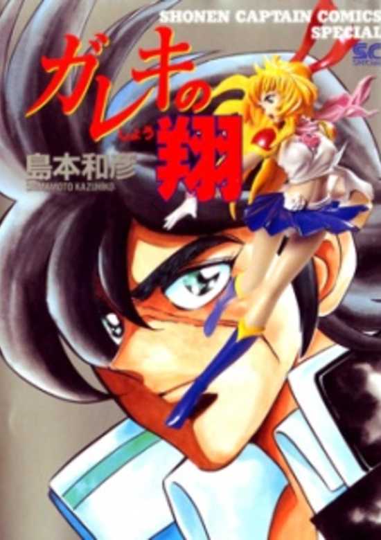 Copertina di Gareki no Shou