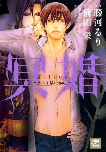 Copertina di Meikon