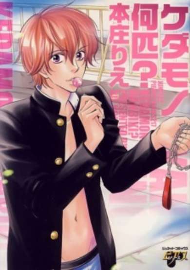 Copertina di Kedamono Nanbiki?