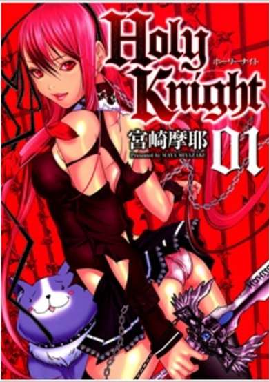 Copertina di Holy Knight
