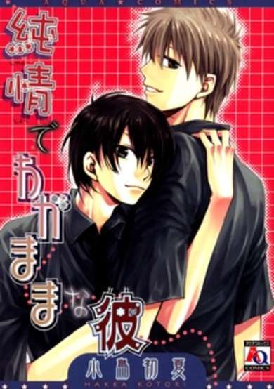 Copertina di Junjou de Wagamama na Kare