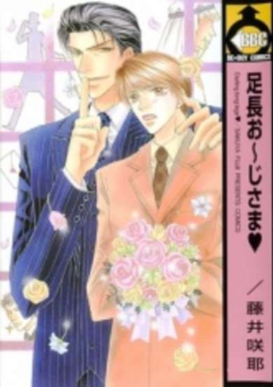Copertina di Darling Long Legs