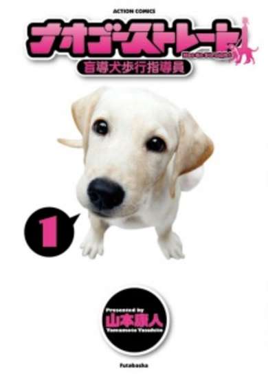 Copertina di Nao Go Straight: Moudouken Hokou Shidouin