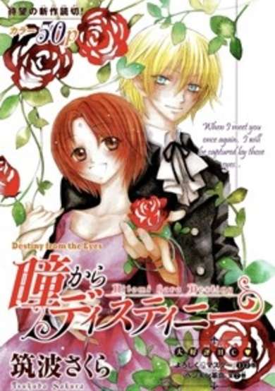 Copertina di Hitomi kara Destiny