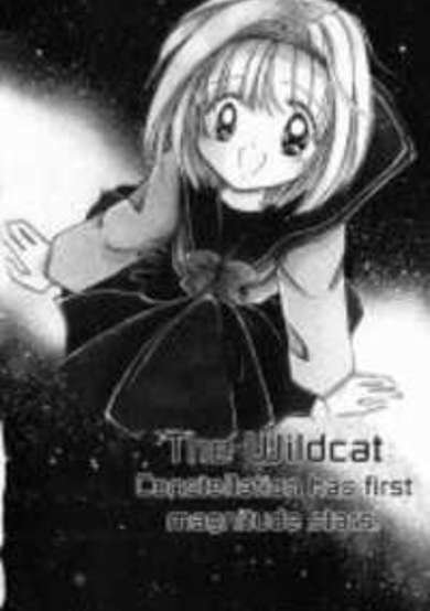 Copertina di The Wildcat Constellation