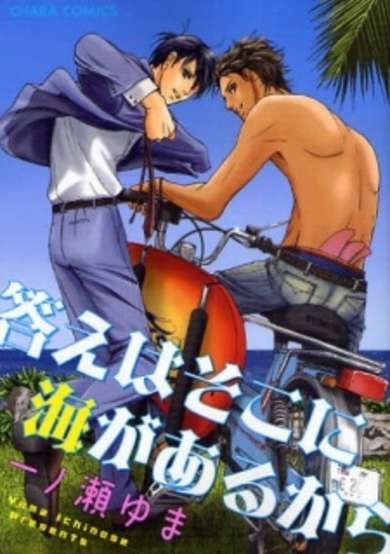 Copertina di Kotae wa Soko ni Umi ga Aru kara