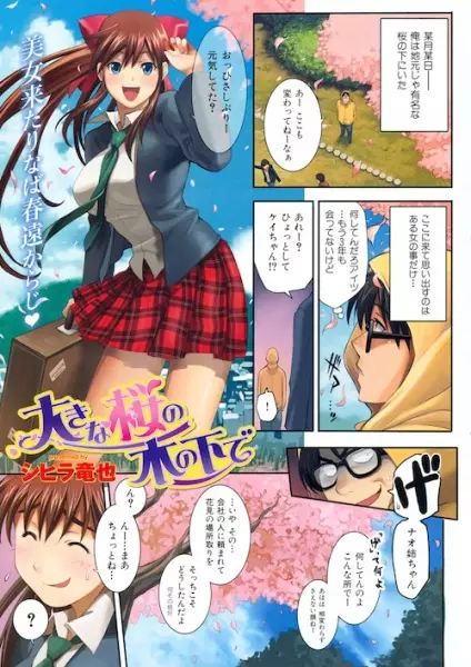 Copertina di Ookina Sakura no Ki no Shita de