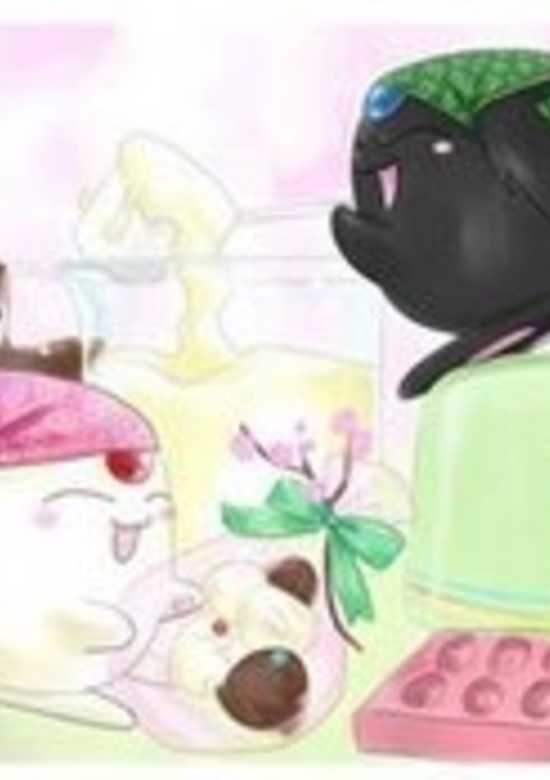 Copertina di Soel to Larg: Mokona=Modoki no Bouken