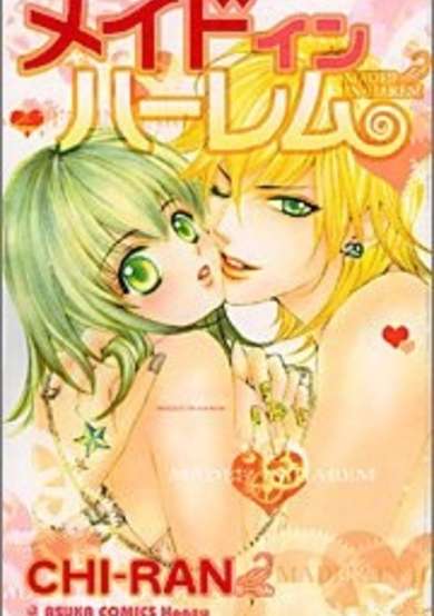 Copertina di Made in Harem