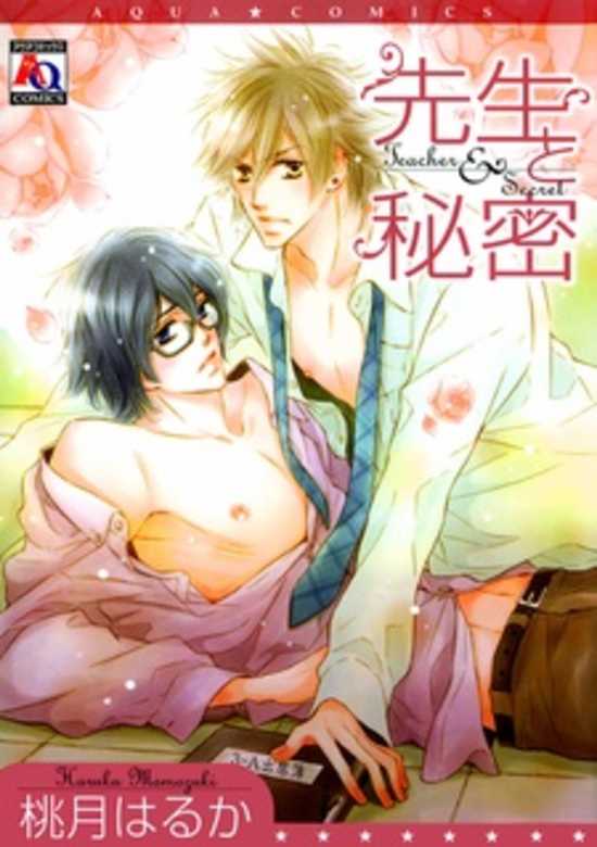 Copertina di Teacher & Secret