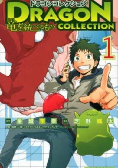 Copertina di Dragon Collection: Ryuu wo Suberumono