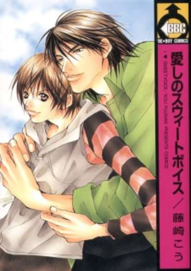 Copertina di I Love Sweet Voice
