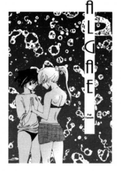 Copertina di Aomidoro