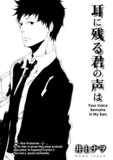 Copertina di Your Voice Remains in My Ears