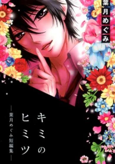 Copertina di Kimi no Himitsu