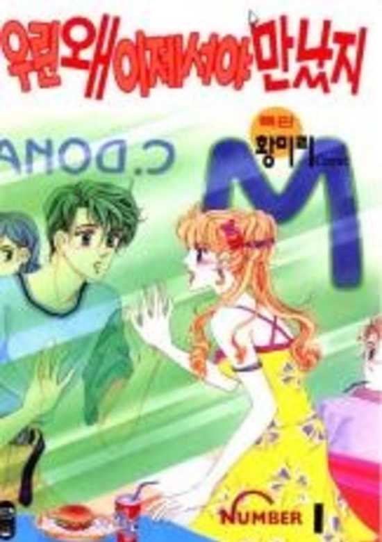 Copertina di Why Did We Meet Until Now