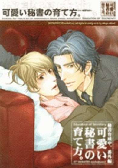 Copertina di My Lovely secretary dj - Sweet Private Secretary Raising