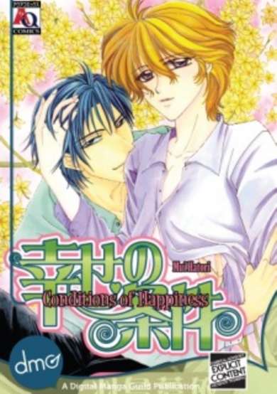 Copertina di Conditions Of Happiness