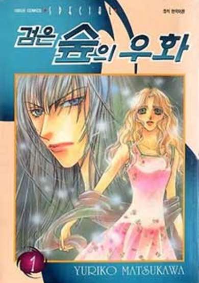 Copertina di A Dark Fable of the Forest