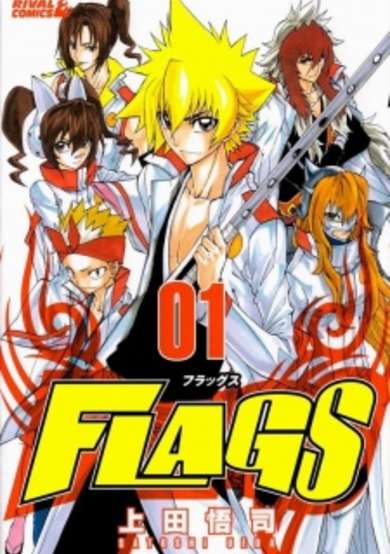 Copertina di FLAGS